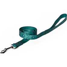 Pet Luxe Pvc Turkuaz Köpek Gezdirme Kayışı