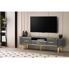 Kone Haus Massal Tv Ünitesi