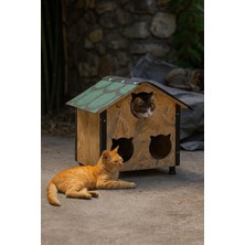 Feyza Design Dış Mekan 3'lü Osb Kedi Kulübesi, Rahat ve Şık Tasarım