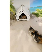 Feyza Design Doğal Ahşap Kedi Evi ve Yatağı, Konforlu ve Şık Tasarım