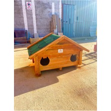 Feyza Design Dayanıklı Ahşap Kedi Evi, 2 Yuvalı, Dış Mekan Için Mükemmel Seçenek