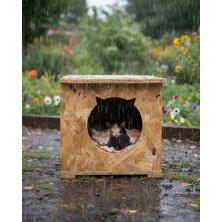 Feyza Design Ahşap Kedi Evi 45X35X34 cm Sıcak ve Soğuğa Dayanıklı Osb