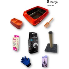 Feyza Design Renkli ve Eğlenceli 8 Parçalı Kedi Oyuncak Seti, Kedinizin Enerjisini Arttırır