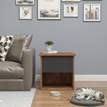 Feyza Design Rahat ve Şık Kedi Evi, Kedi Kafesi ve Yan Sehpa Seti
