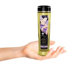 Shunga Erotic Massage Oil 240 ml Lavender Aromalı Masaj Yağı