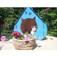 Feyza Design Büyük Boy Mavi Ahşap Kedi Evi, Konfor ve Şıklık Bir Arada