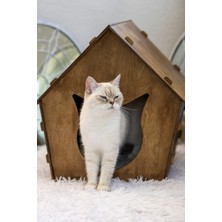Feyza Design Şirin ve Dayanıklı Kedi Evi, Konforlu ve Şık Tasarım.