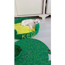 Feyza Design Yeşil Kedi Yatağı ve Kuru Mama Kabı Seti, Özel Isimli Tasarım