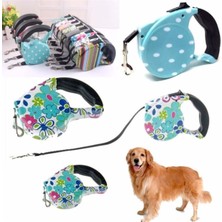 Feyza Design Renkli Desenli Köpek Tasması, Güvenli ve Rahat Kullanım Için Tasarlandı