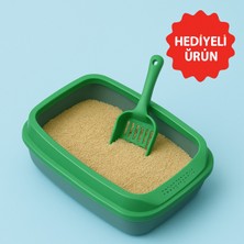 Feyza Design Pratik Kedi Tuvalet Kabı Seti, Kürek ve Oyuncak Hediyeli, Uzun Ömürlü Kullanım