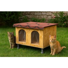 Feyza Design Dış Mekan Xxl Su ve Rüzgar Geçirmez Demonte Kedi ve Köpek Evi