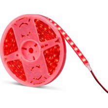 Samsung 12V 4040 Iç Mekan IP20 Şerit LED (5 Metre)