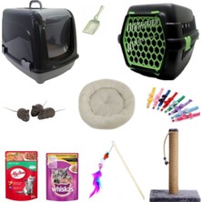 Feyza Design Sevimli Kedi Başlangıç Seti 10 Parça Gri-Yeşil, Eğlence Dolu Anlar Için