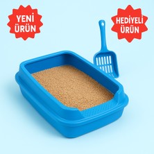 Feyza Design Kedi Tuvalet Kabı ve Kürek Seti, Oyuncak Hediye ile Pratik Temizlik