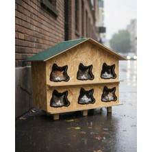 Feyza Design Dış Mekan Ahşap Kedi Evi 100X95X50 Cm, Dayanıklı ve Şık Tasarım