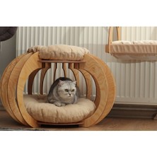 Feyza Design Bal Kabağı Temalı Kedi Evi, Huş Ağacı, Dayanıklı Marine Kontrplak