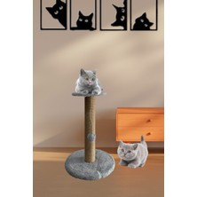 Feyza Design Kedi Tırmalama Köşesi, Rahat ve Eğlenceli Gri Renkli Tasarım