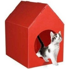 Feyza Design Renkli Plastik Kedi Evi, Konforlu ve Şık Kedi Kulübesi