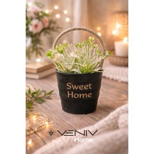 Veniv Dekoratif Sepet Saksı + Bitki - Pinterest Tasarım - 17 cm
