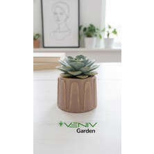Veniv Beton Saksı El Yapımı Nostalji Eskitme - Gold Detaylı - 5 cm