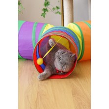 Feyza Design Renkli Katlanabilir Tünel, Kedi ve Köpekler Için Eğlenceli Oyun Alanı