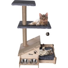 Feyza Design Çok Amaçlı Katlanabilir Kedi Evi, Tırmalama Çubuğu, Minder ve Çelik Kase