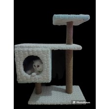 Feyza Design Rahat ve Şirin Kedi Evi, Konforlu Yaşam Alanı Için Ideal Seçim