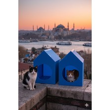 Feyza Design Iki Adet Mavi Su Geçirmez Plastik Kedi Evi, Konfor ve Güvenliğe Uygun