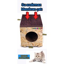 Feyza Design Dayanıklı Ahşap Dış Mekan Kedi Kulübesi, Şık ve Rahat Tasarım