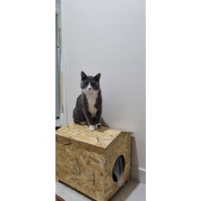 Feyza Design Dayanıklı Dış Mekan Kedi Yuvası 35X30X40, Konforlu ve Güvenli Tasarım