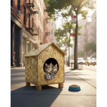 Feyza Design Ahşap Kedi Evi, Osb, 43X40X37 Cm, Sıcak ve Soğuğa Dayanıklı