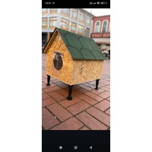 Feyza Design Su Geçirmez ve Dayanıklı Osb Kedi Evi, Konforlu Yaşam Alanı