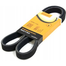 Volkswagen Bora 1.6 8V Benzinli V Kayışı 1998-2005 Continental