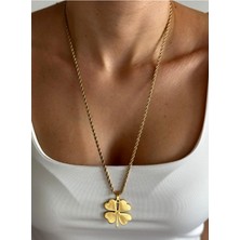 Hercy Uzun Burgu Zincirli Paslanmaz Çelik Yonca Kolye