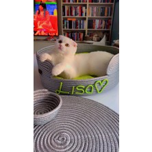 Feyza Design Şık Gri Hasır Kedi Yatağı, Paspas ve Kuru Mama Kabı Seti