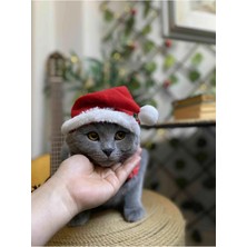 Feyza Design Yılbaşı Temalı Kedi Şapkası, Lastikli, Noel Baba Tarzı, Yavru Kedi Için