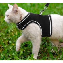 Feyza Design Nefes Alan Kumaş Kedi Köpek Göğüs Tasması Seti Siyah