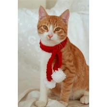 Feyza Design Beyaz Ponponlu Yılbaşı Atkısı ve Kedi Tasması, Noel Temalı, Kırmızı Renk