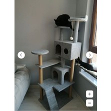 Feyza Design Çok Katlı Eğlenceli Kedi Evi, Renkli Tasarım, Dayanıklı ve Rahat Kullanım