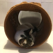 Feyza Design Rüya Gibi Keyifli Kedi Salıncağı, Güvenli ve Eğlenceli Oyun Alanı