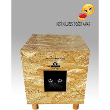Feyza Design Lüks Kedi Evi, Anne ve Bebek Kedi Kulübesi, Rahat ve Şık Tasarım