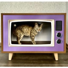 Feyza Design Çocuklar ve Küçük Dostlar Için Çok Amaçlı Şık Ev ve Sehpa Modeli