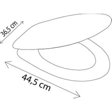 Storemax Kolay Kurulum Beyaz Klozet Kapağı