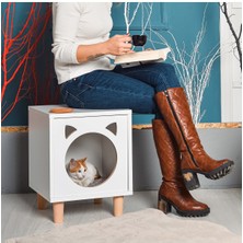 Feyza Design Minimalist Beyaz Tahta Kedi Evi, Modern ve Şık Tasarım