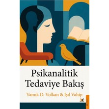 Storemax Psikanalitik Tedaviye Bakış