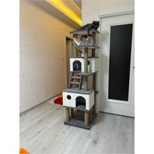 Feyza Design Lüks Hamaklı Yuvalı Kedi Tırmalama Evi ve Oyun Platformu