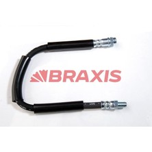 Braxis On Fren Hortumu P308 P3008 07