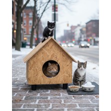 Feyza Design Dış Mekan Ahşap Kedi Evi 44X36X32 Cm, Dayanıklı ve Şık Tasarım