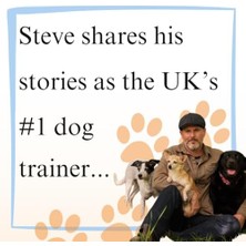 Storemax Another Day, Another Collar: Confessions Of A Dog Trainer: From The Author Of Easy Peasy Puppy Squeezy