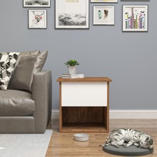 Feyza Design Şık ve Kullanışlı Kedi Evi, Kafesi ve Yan Sehpa Kombinasyonu